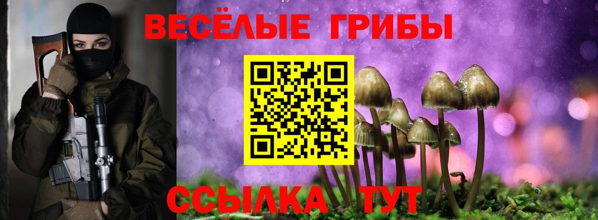 Псилоцибиновые грибы мицелий Первоуральск